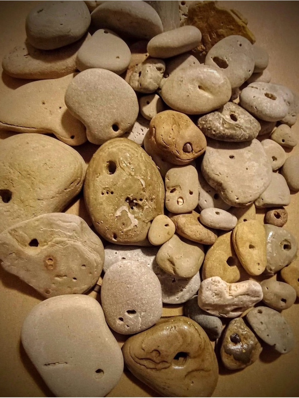 Lake Michigan Great Lakes Pallet. Yooperlites, fossils, beach glass, hag stones. - Picture 5 of 16
